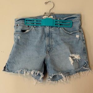 EUC Abercrombie & Fitch The 4” Mom Short High Rise Jean Short